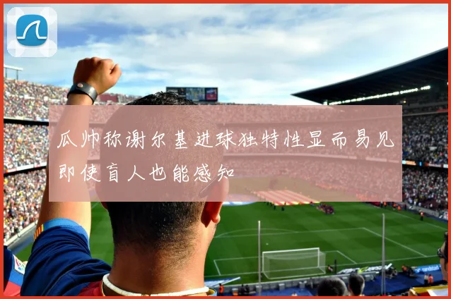 瓜帅称谢尔基进球独特性显而易见即使盲人也能感知