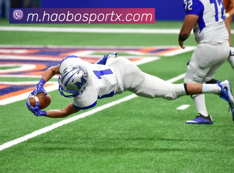 好博体育平台生态图